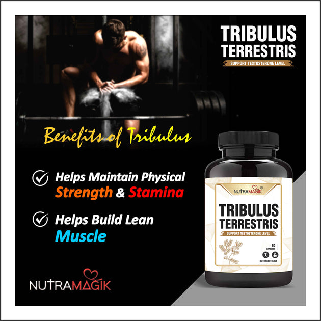 Tribulus Terrestris Gokshura Natural Testo Booster, Increase Stamina,E