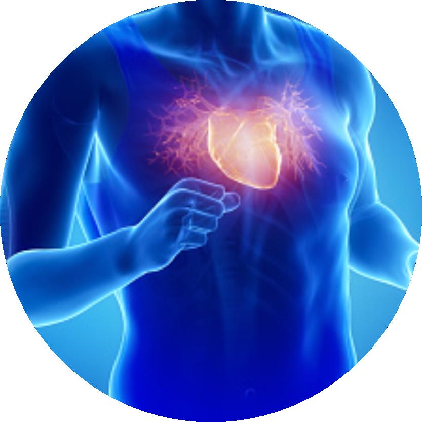 Heart Health