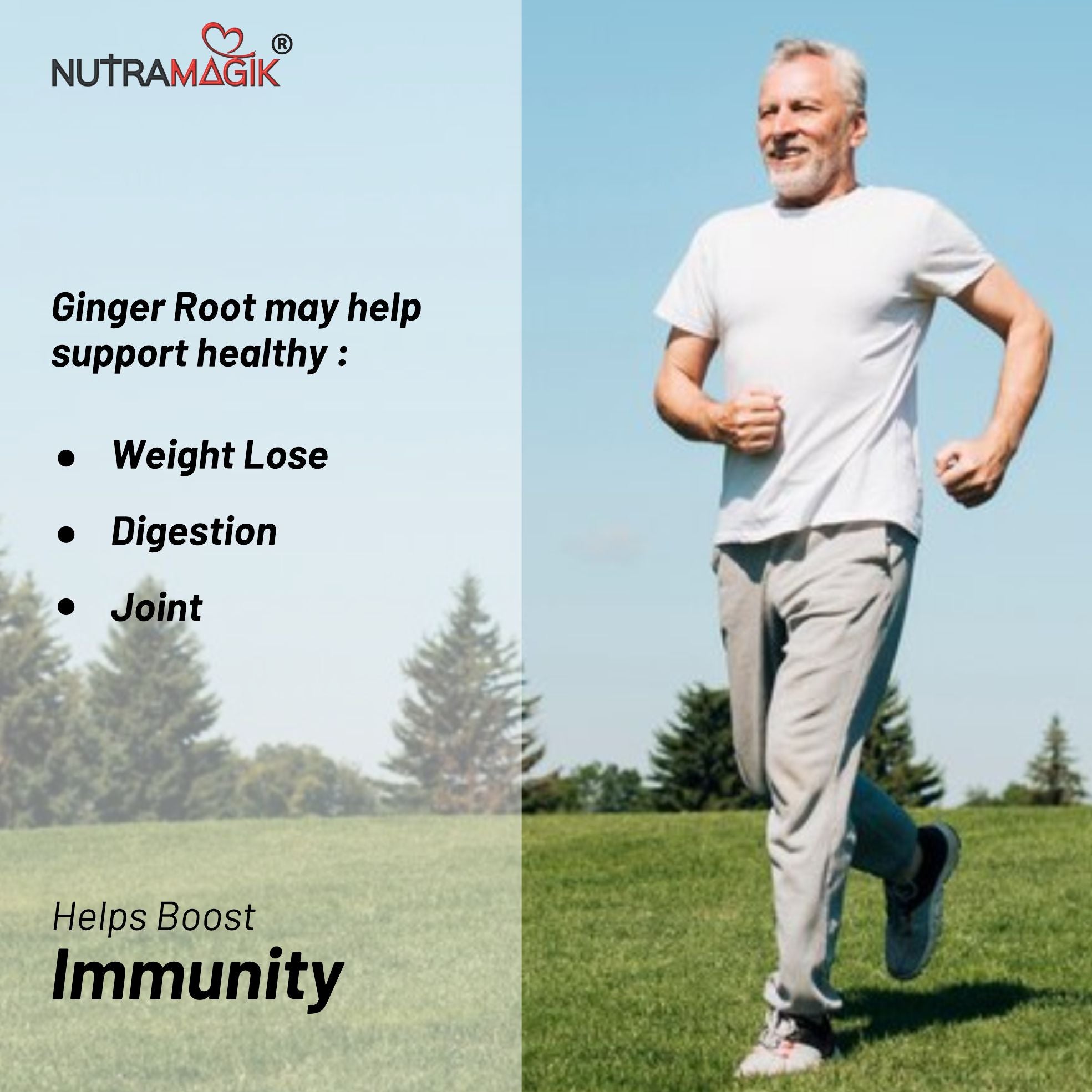 Ginger Extract -60 Capsules