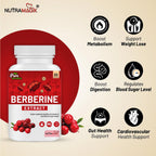 Berberine Extract- 60 Capsules