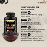 Nutramagik Shilajit and Testobooster combo offer - 60 capsule each