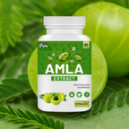 Amla Extract - Boost Immunity and Wellness - 60 Capsules
